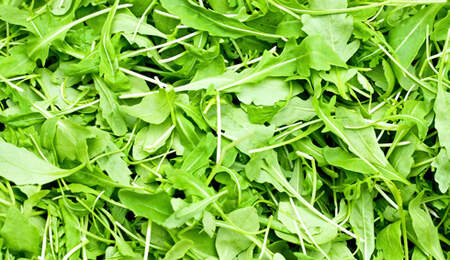 100g Rucola enthalten 1,4mg Beta-Carotin
