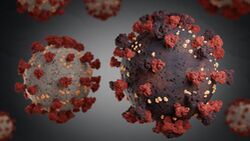 3-D-Darstellung einer Corona-Virus-Mutation