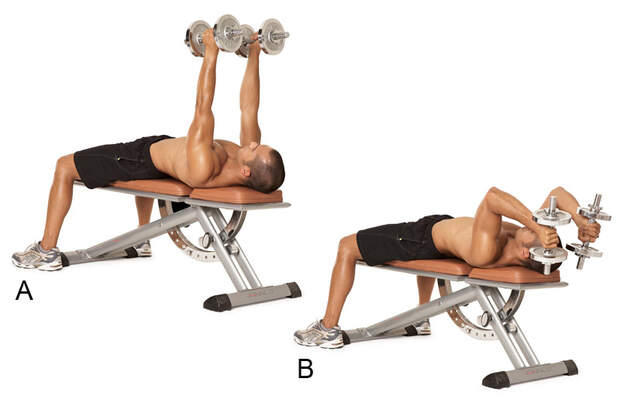 Alle Übungen aus dem Trainingsplan der Sixpack-Challenge 2015