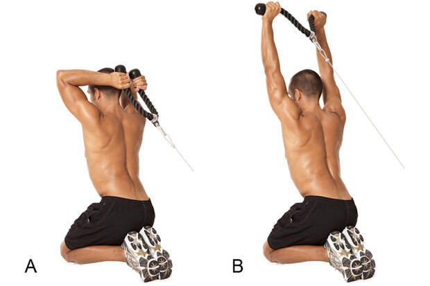 Alle Übungen aus dem Trainingsplan der Sixpack-Challenge 2015