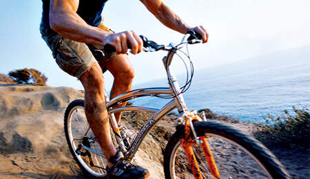 Alles zum Thema Biken