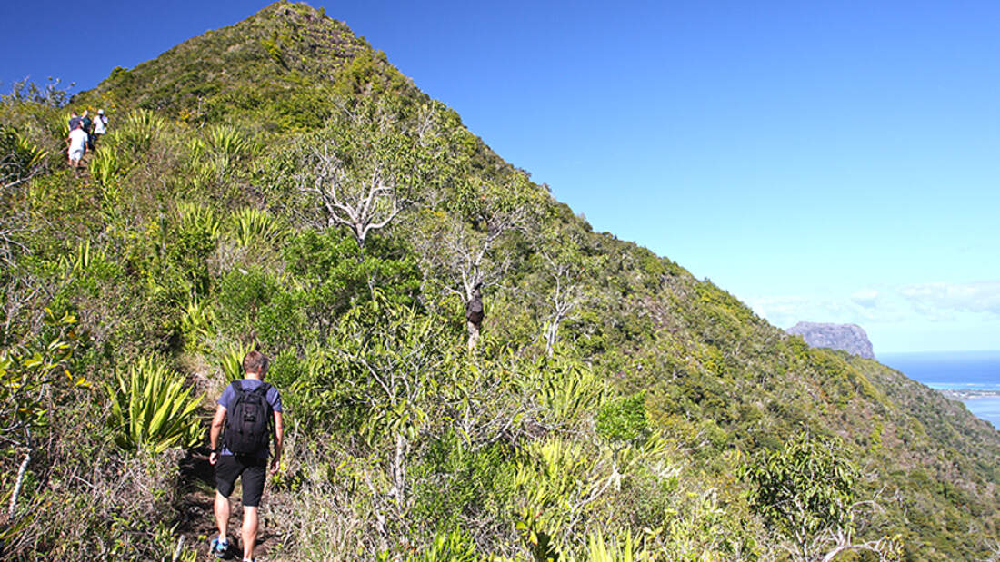 Am Ruhetag testet Kollege Marco das Trekking-Angebot von Mauritius