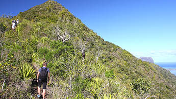 Am Ruhetag testet Kollege Marco das Trekking-Angebot von Mauritius