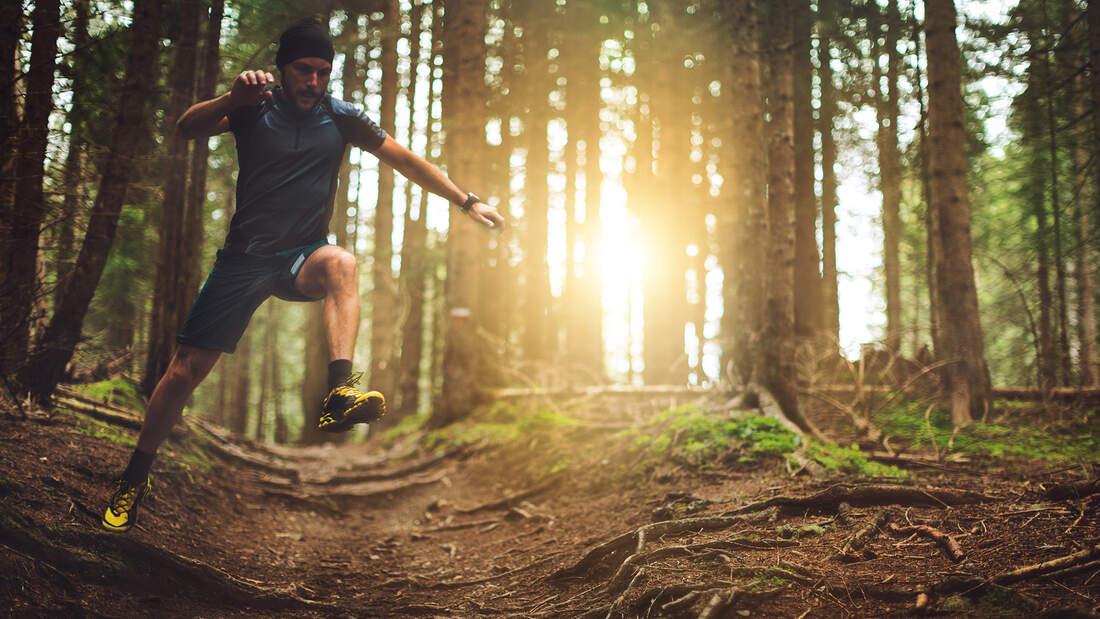 Animal Moves: Mit diesem intensiven Ganzkörpertraining werden Sie tierisch fit