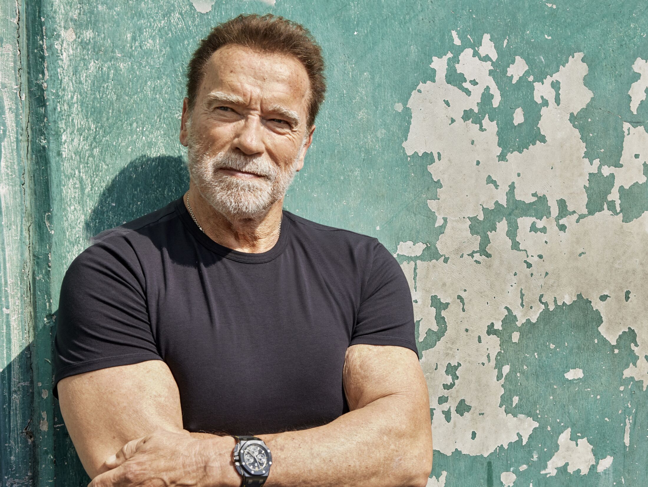 Arnold Schwarzenegger: 5 Fakten über seine Ernährung und sein Training -  Business Insider