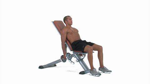 Die Besten Ubungen Fur Xl Arme Im Video Men S Health