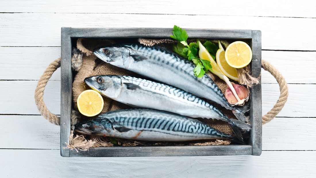 Die Omega-3-haltigsten Fischsorten