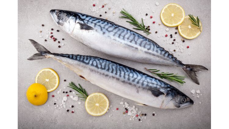 Die Omega-3-haltigsten Fischsorten