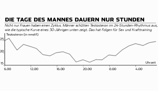 Die Testosteronkurve bei Männern.