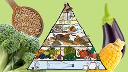 Die VEBU Eenährungspyramide hilft beim Einstieg in ein vegetarisch-veganes-Leben
