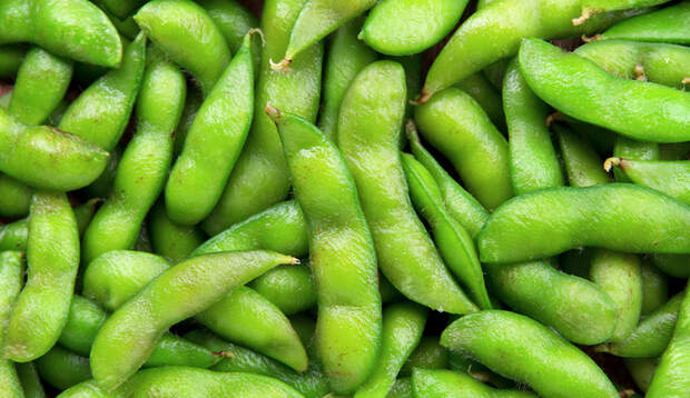 Edamame liefern rund 30 Prozent pflanzliches Protein