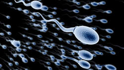 Was Taugen Spermatests Wirklich Men S Health