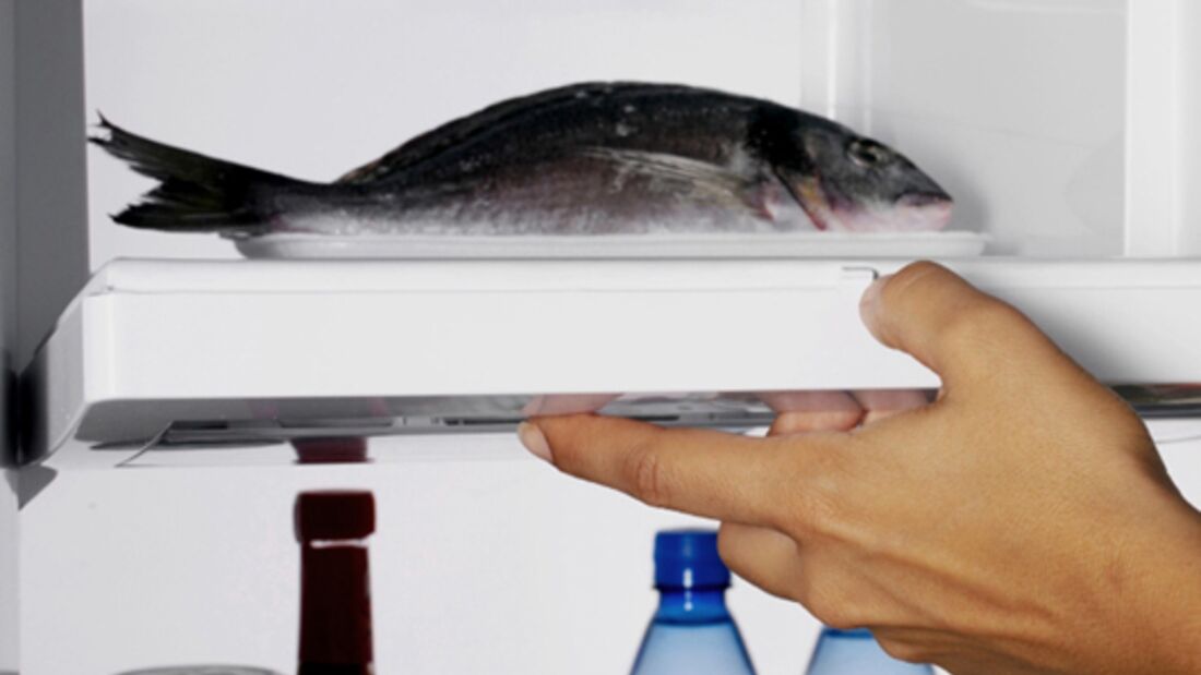 Frischen Fisch einfrieren? | MEN'S HEALTH
