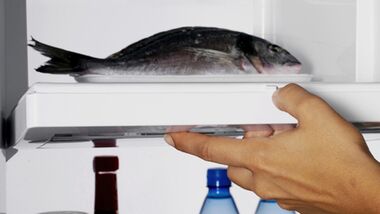Fisch bleibt im Gefrierschrank länger frisch