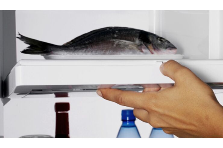 Frischen Fisch einfrieren? | MEN'S HEALTH