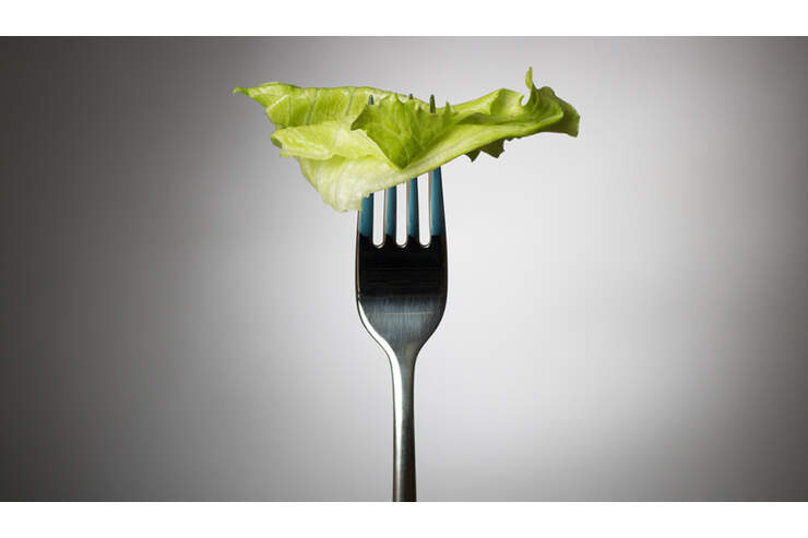 bild der frau abnehmen ohne hunger