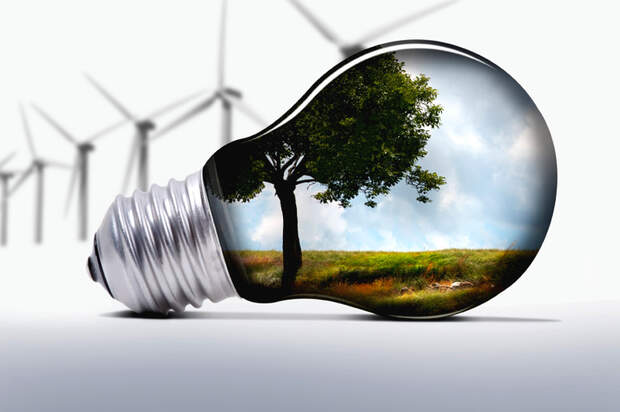 Grüne Energie schützt die Natur