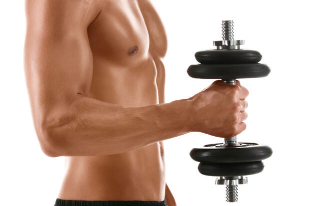 Hammer-Curls einbauen