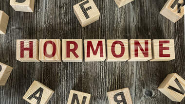Hormone: Die Botschafter unseres Körpers