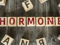 Hormone: Die Botschafter unseres Körpers