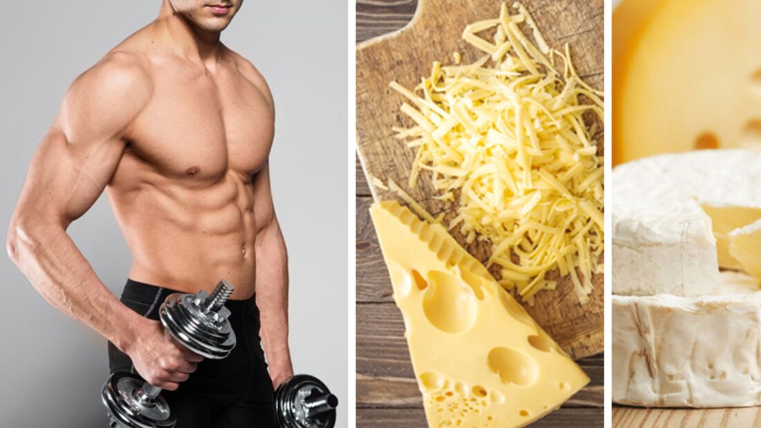 Käse hilft beim Muskelaufbau