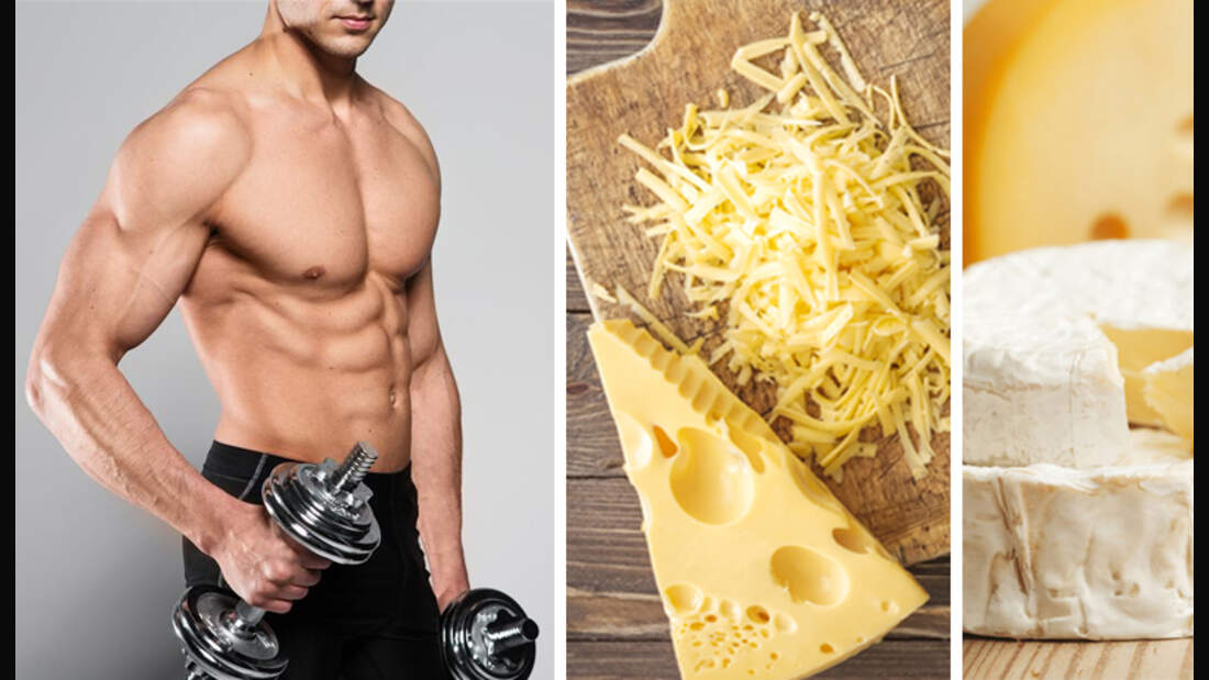 Käse liefert Eiweiß satt MEN