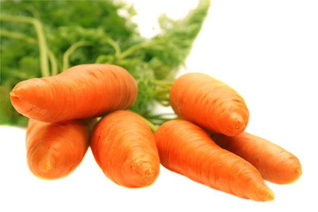 Karotten gehören zur gesunden Ernährung dazu