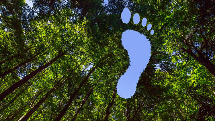 Kompensiere die CO2- Emissionen deines Fluges