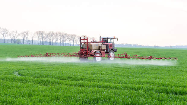 Konventionelle Landwirtschaft setzt Pestizide ein