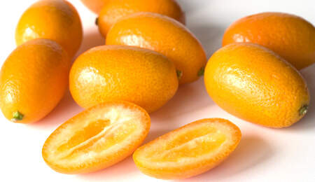 Kumquats sind vier Zenitemter lang und pflaumenförmig