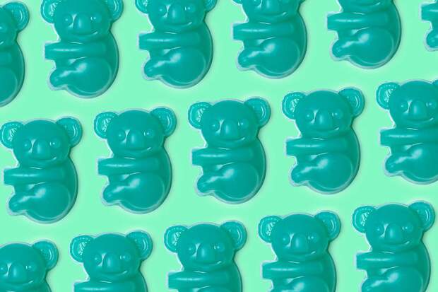 Lush Koala Charity Soap