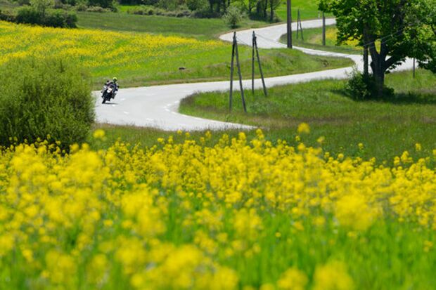 Motorradtour durch die Provence