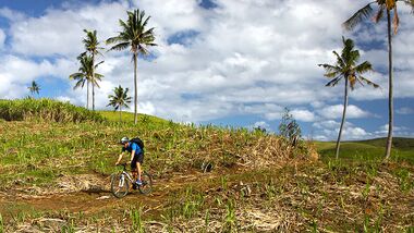 Mountainbiking auf Mauritius:  Holperpfade durch die Zuckerrohrfelder