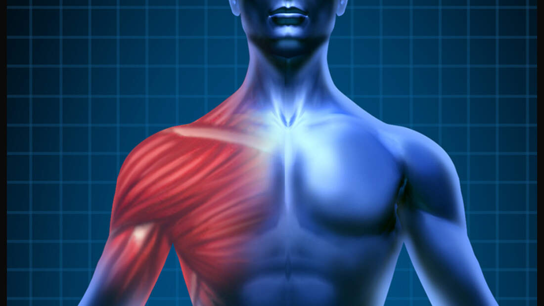 Schulterschmerzen durch Brusttraining? - MEN'S HEALTH