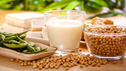 Sojaprodukte sind rein pflanzlich und Bestandteil der vegane Küche