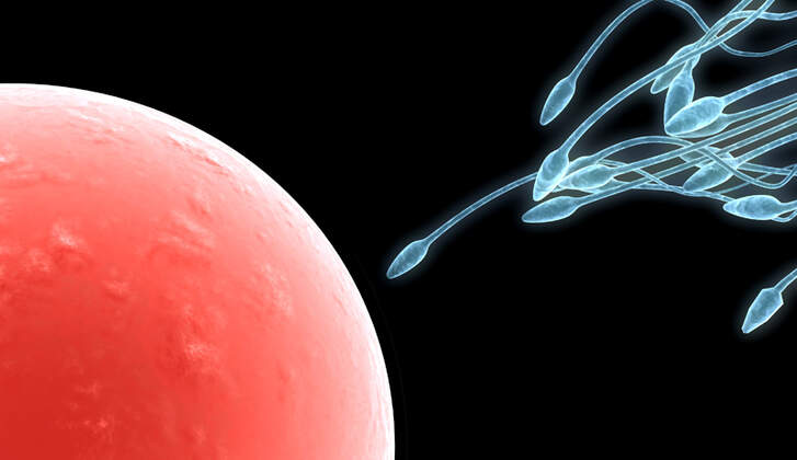 Was Taugen Spermatests Wirklich Men S Health