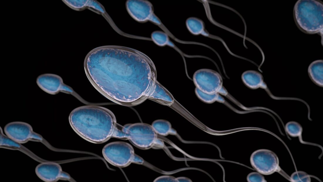Spermien in 3-D Illustration
