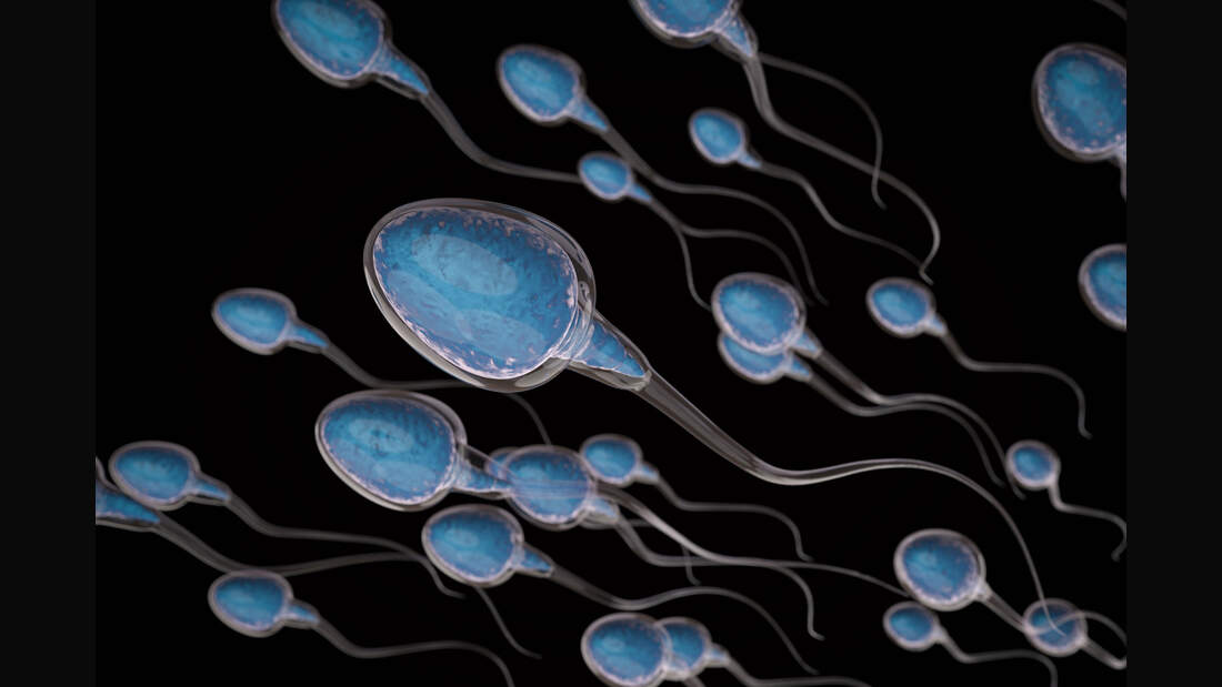 Sperma Alles was Männer wissen müssen! MEN'S HEALTH