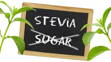 Stevia-Produkte im Geschmackstest
