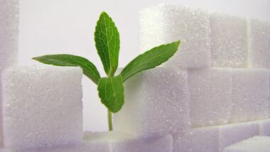 Stevia heißt der neue Zuckerersatzstoff