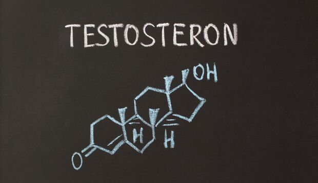 Testosteron: Das männlichste aller Hormone