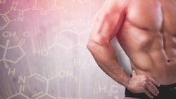 Testosteron sorgt für Muskelkraft und Männlichkeit.