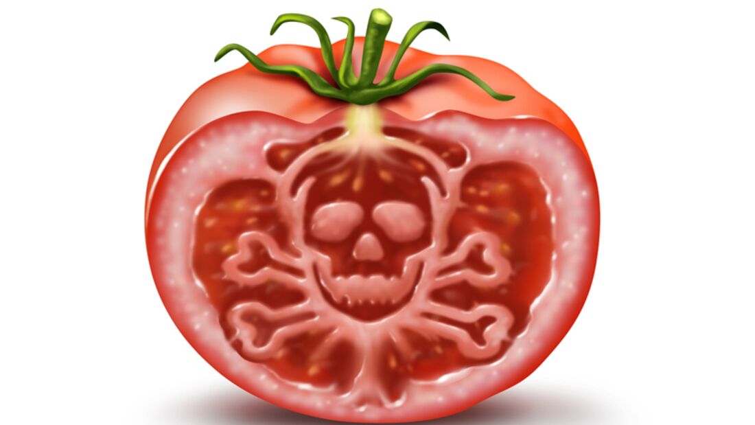 Tomaten können giftiges Solanin enthalten