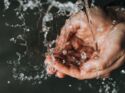 Trockene Hände vom Waschen: Das hilft