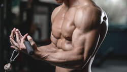 Wie Sie mit Weight Gainern sichtbar an Muskelmasse zulegen
