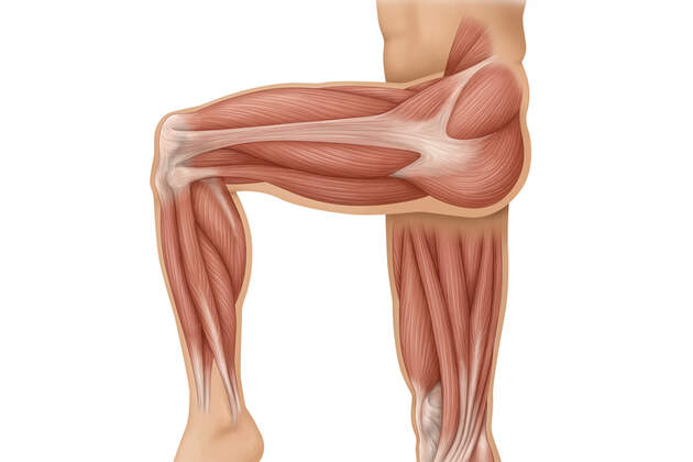 Das Effektivste Training Fur Die Oberschenkel Men S Health