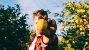 Zitronen enthalten viel Vitamin C und stärken somit dein Immunsystem