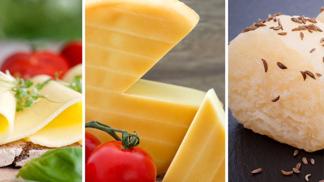 Eiweißreiche Käsesorten MEN