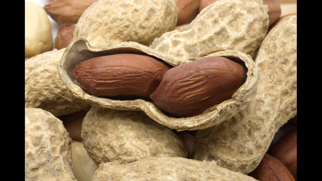 LArginin pusht Muskelaufbau und Libido MEN'S HEALTH